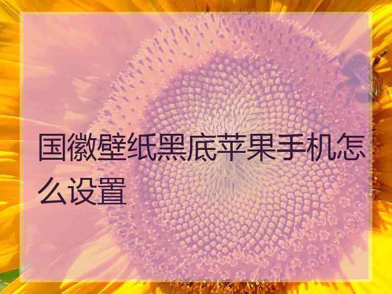 国徽壁纸黑底苹果手机怎么设置