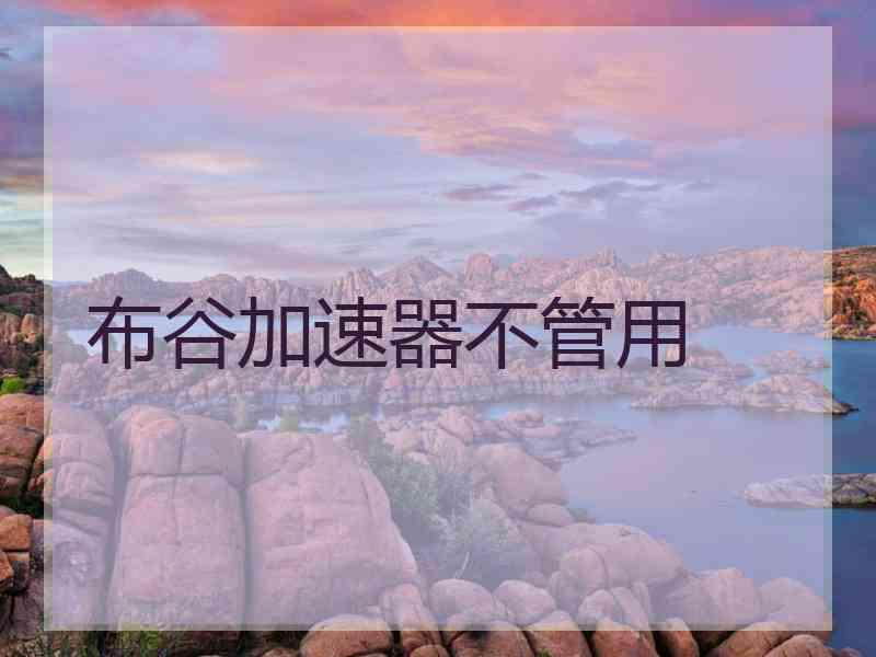 布谷加速器不管用