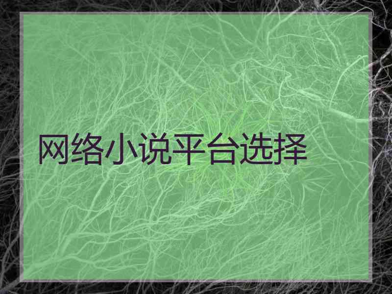 网络小说平台选择