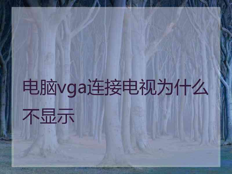 电脑vga连接电视为什么不显示