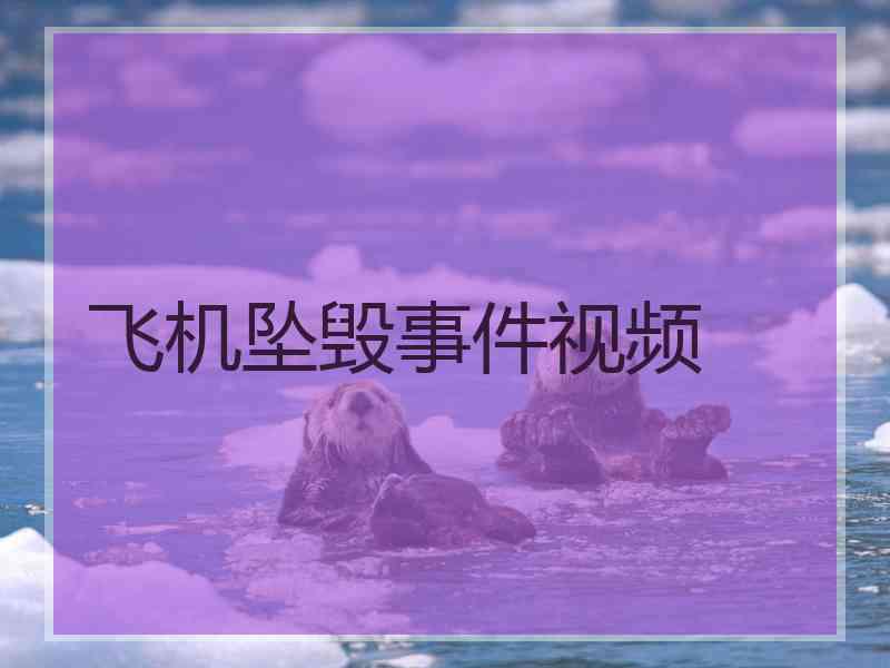 飞机坠毁事件视频