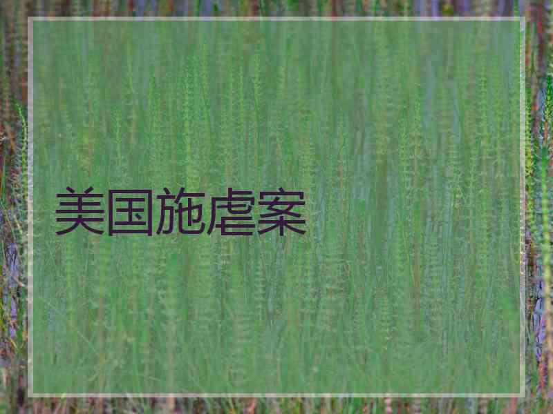 美国施虐案