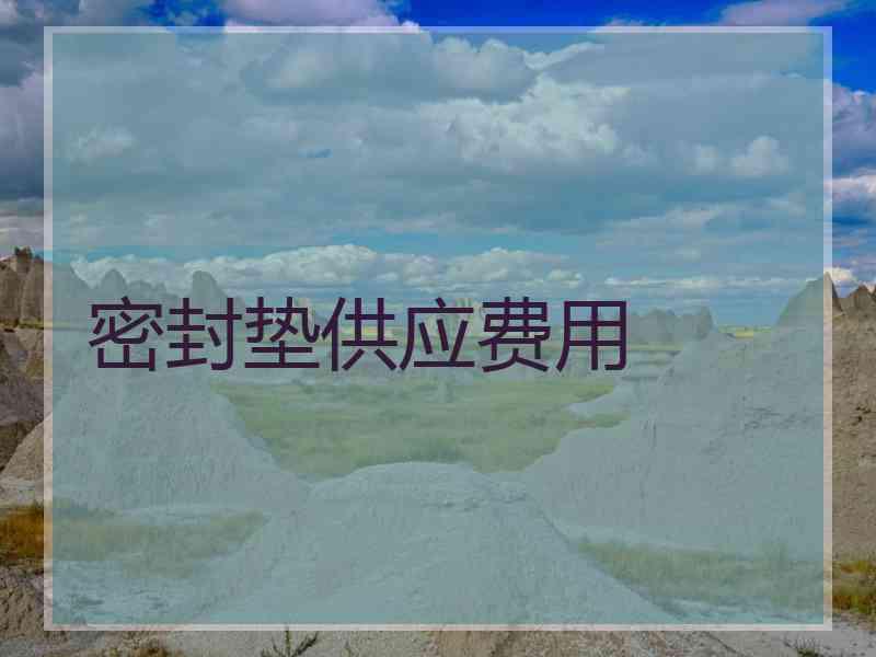 密封垫供应费用