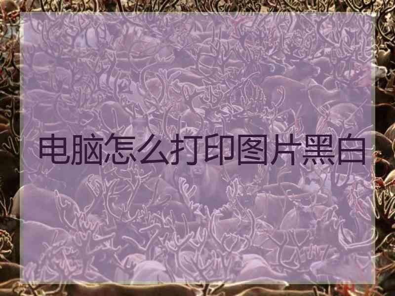 电脑怎么打印图片黑白