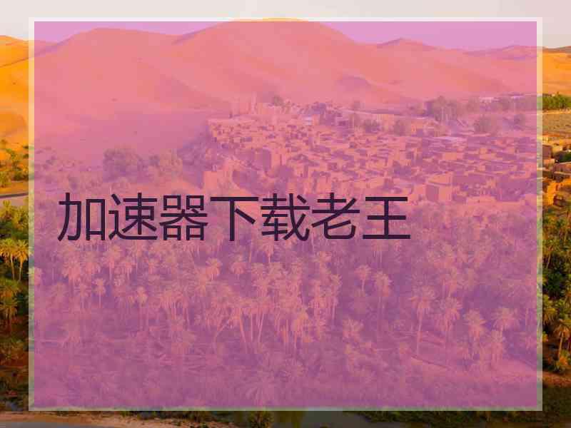 加速器下载老王