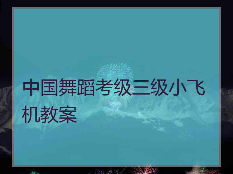 中国舞蹈考级三级小飞机教案