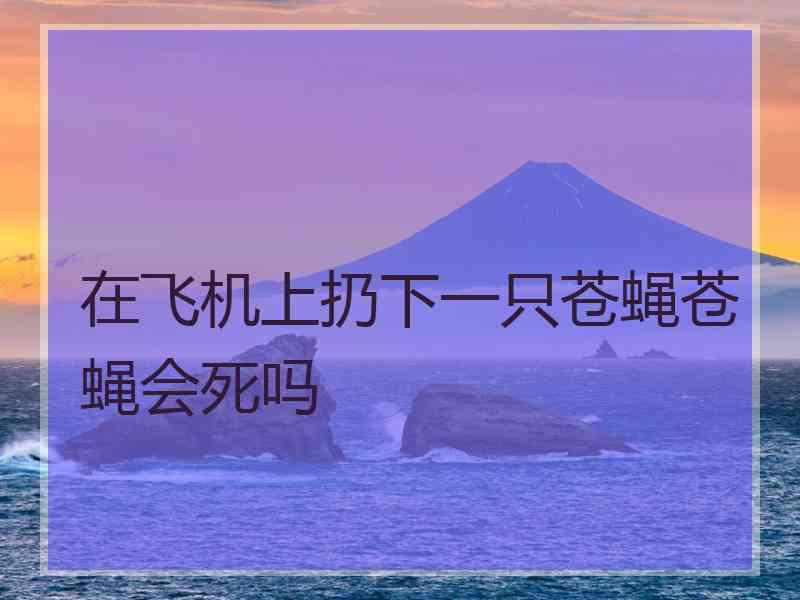 在飞机上扔下一只苍蝇苍蝇会死吗