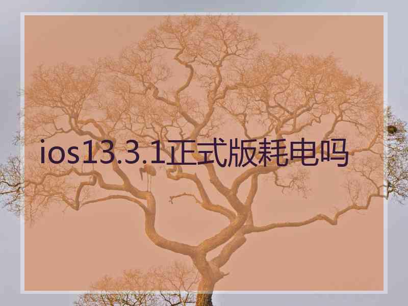 ios13.3.1正式版耗电吗