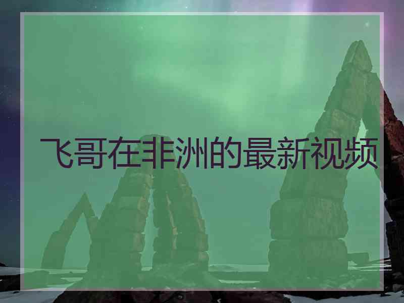 飞哥在非洲的最新视频