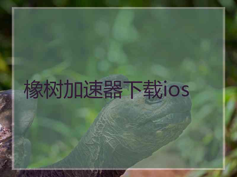 橡树加速器下载ios