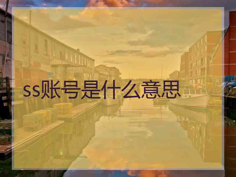 ss账号是什么意思