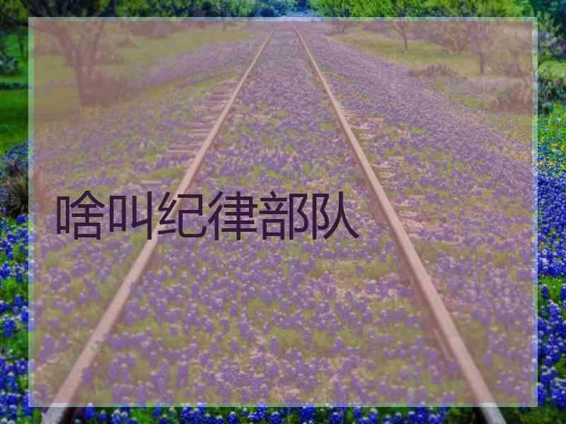 啥叫纪律部队