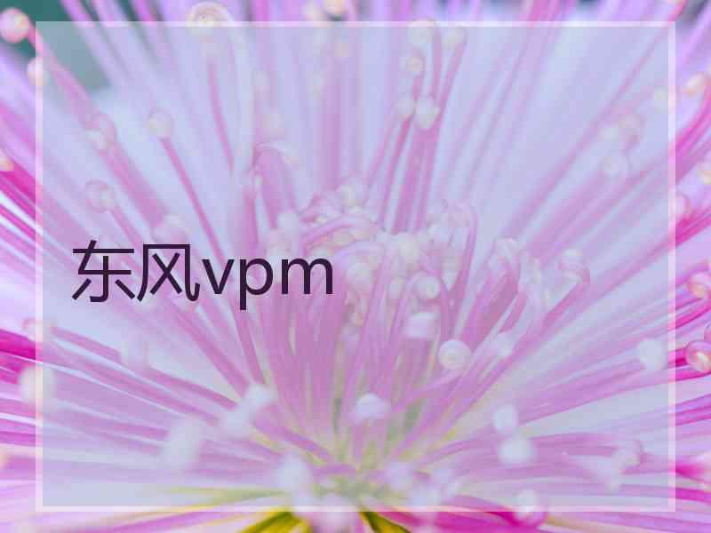 东风vpm