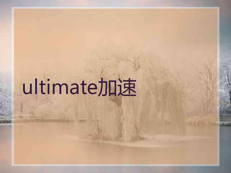 ultimate加速