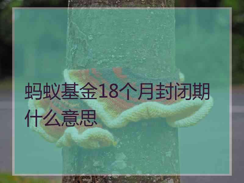 蚂蚁基金18个月封闭期什么意思