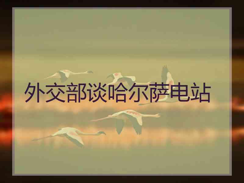 外交部谈哈尔萨电站