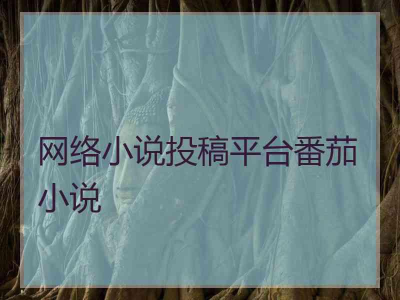 网络小说投稿平台番茄小说