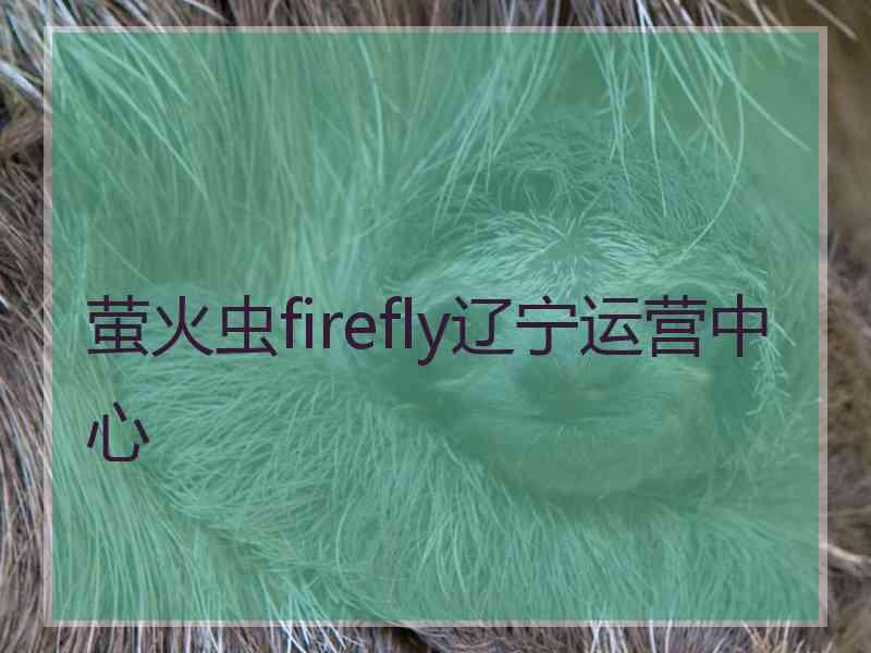 萤火虫firefly辽宁运营中心