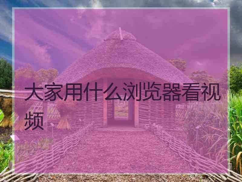 大家用什么浏览器看视频