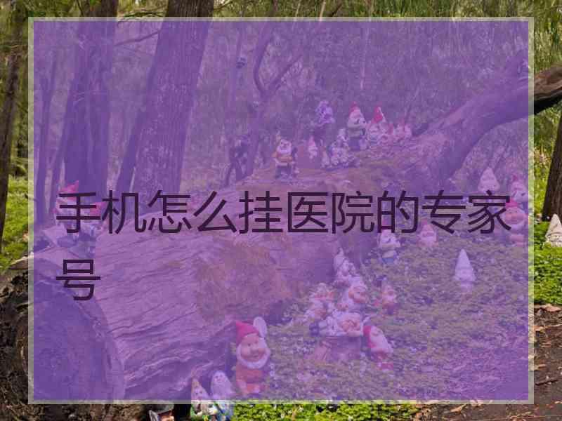 手机怎么挂医院的专家号