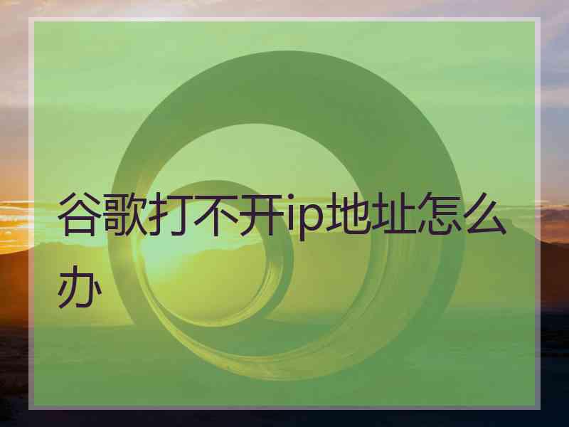 谷歌打不开ip地址怎么办