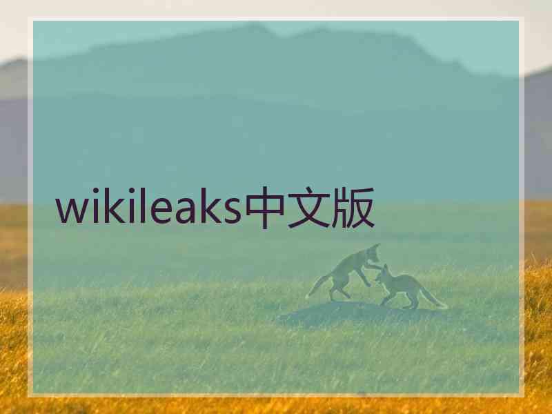 wikileaks中文版