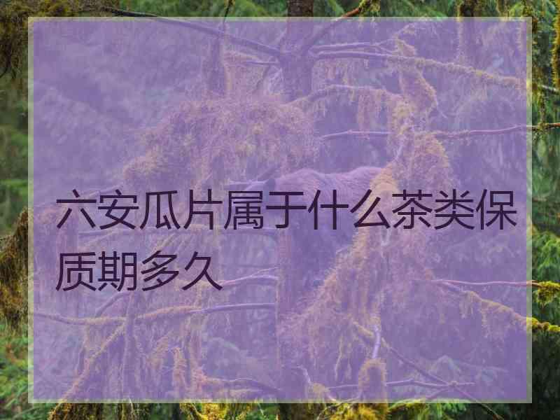 六安瓜片属于什么茶类保质期多久