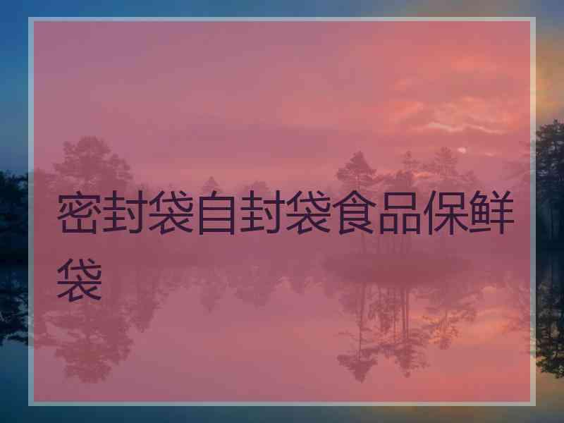 密封袋自封袋食品保鲜袋