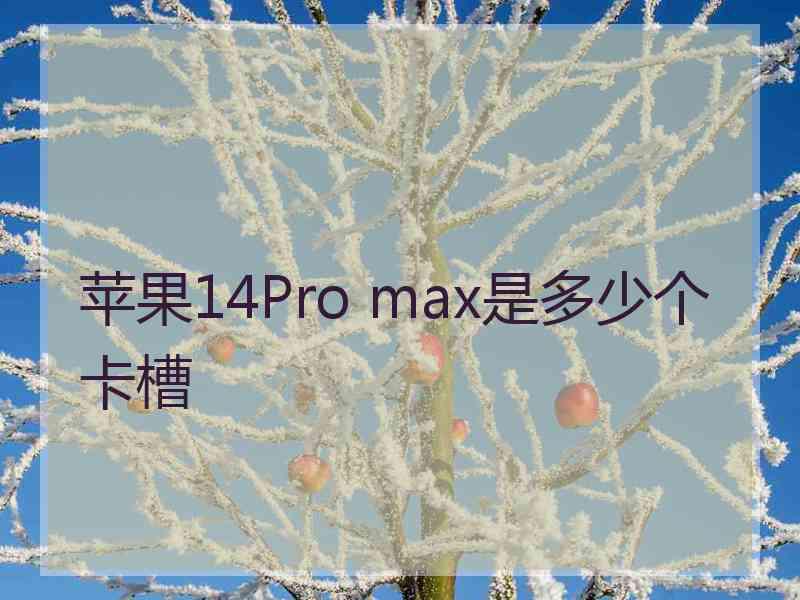 苹果14Pro max是多少个卡槽