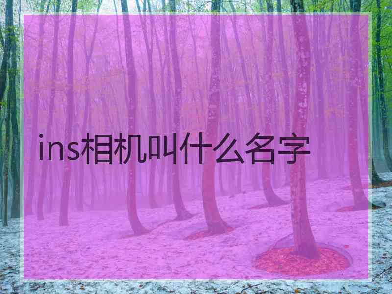 ins相机叫什么名字