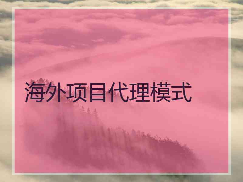 海外项目代理模式