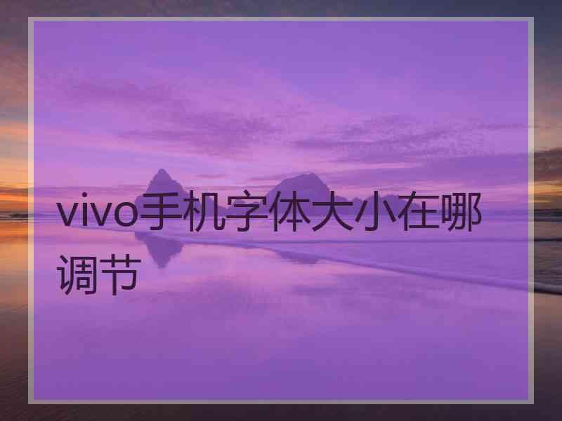 vivo手机字体大小在哪调节