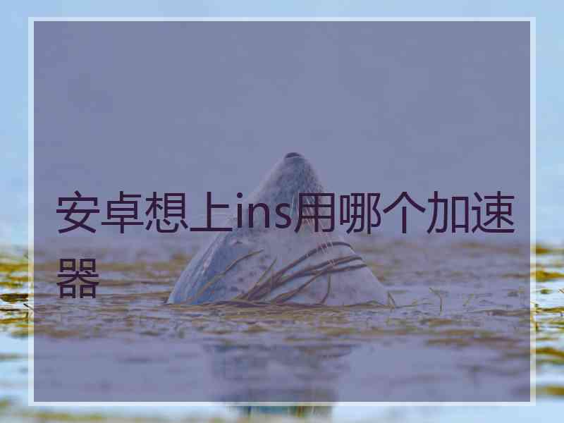 安卓想上ins用哪个加速器