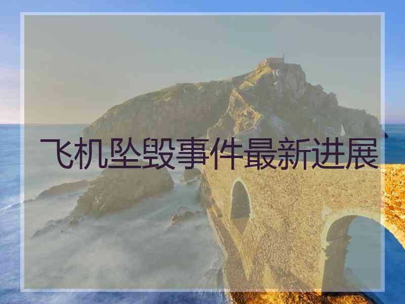 飞机坠毁事件最新进展