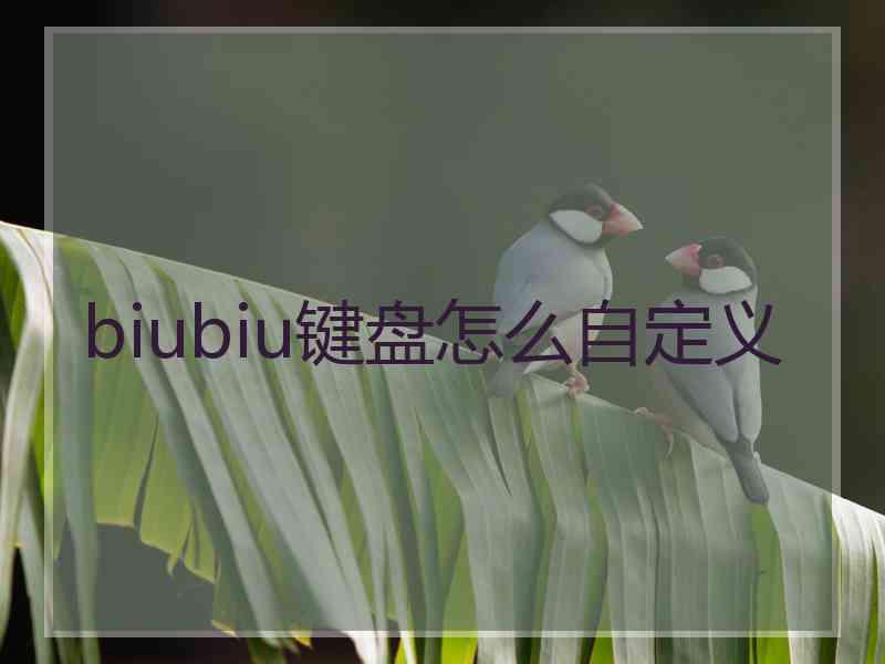 biubiu键盘怎么自定义