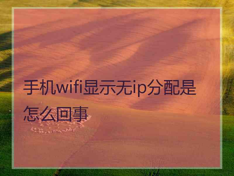 手机wifi显示无ip分配是怎么回事