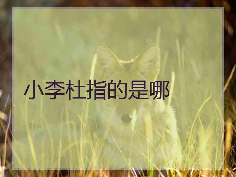 小李杜指的是哪