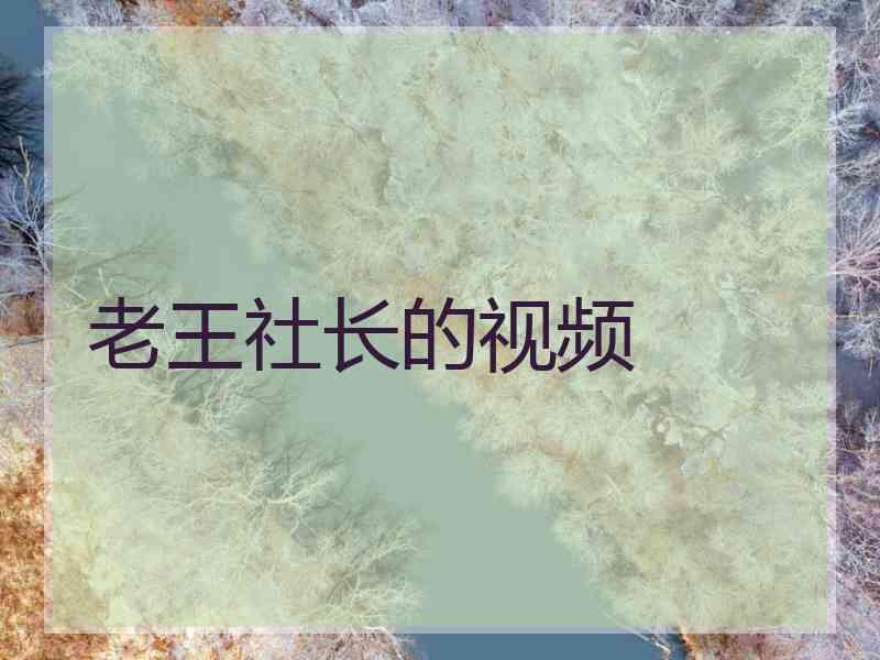 老王社长的视频