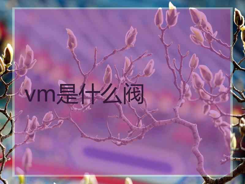vm是什么阀