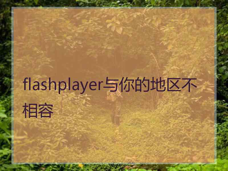 flashplayer与你的地区不相容