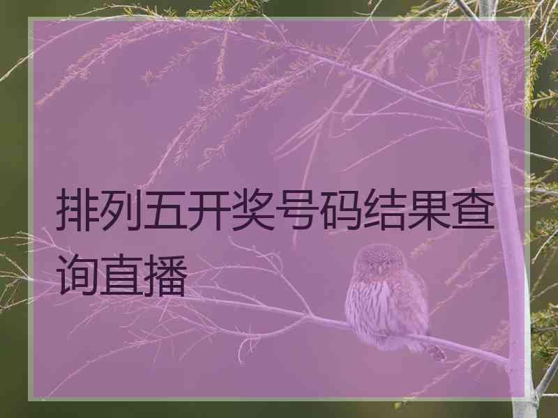 排列五开奖号码结果查询直播