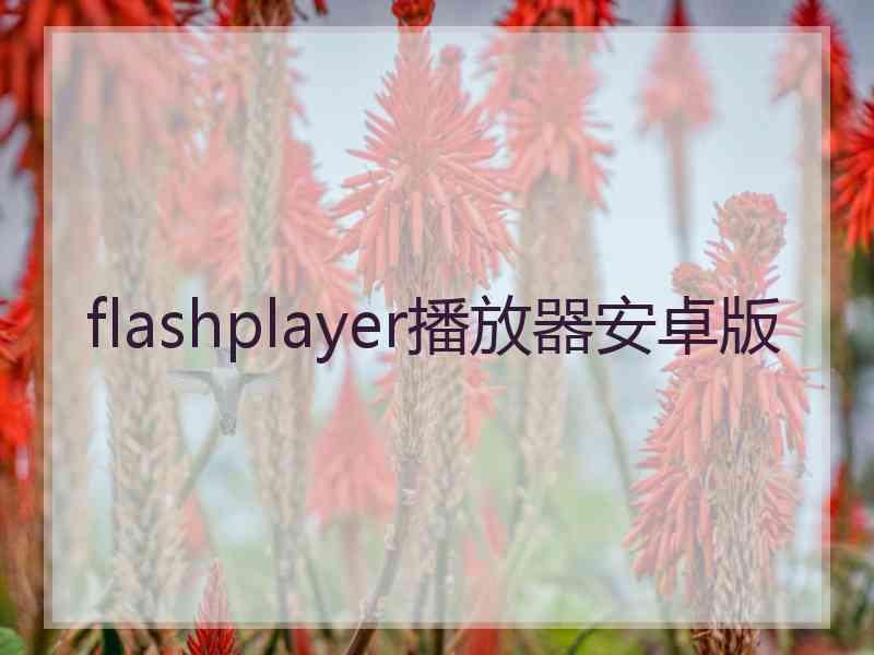 flashplayer播放器安卓版