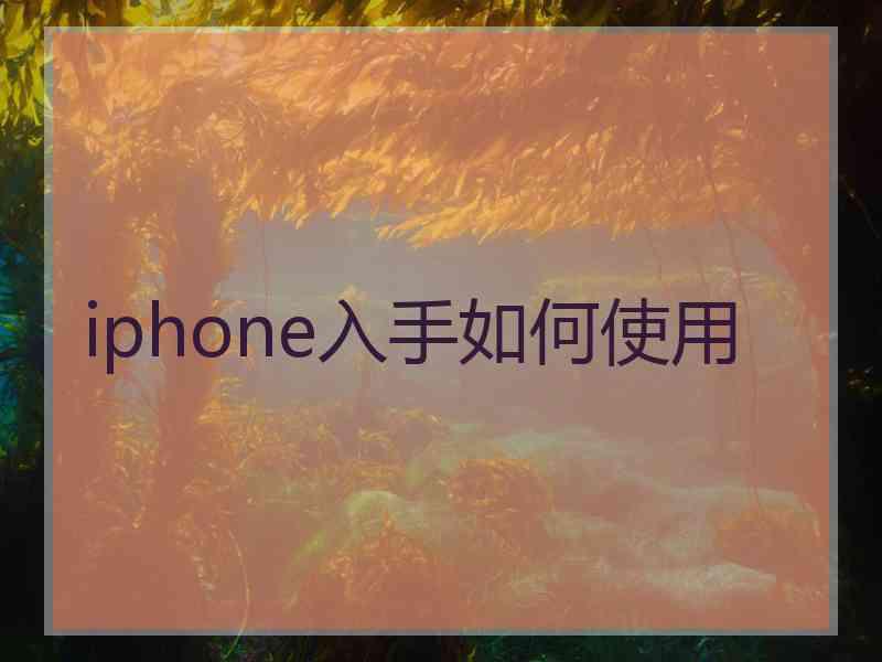 iphone入手如何使用