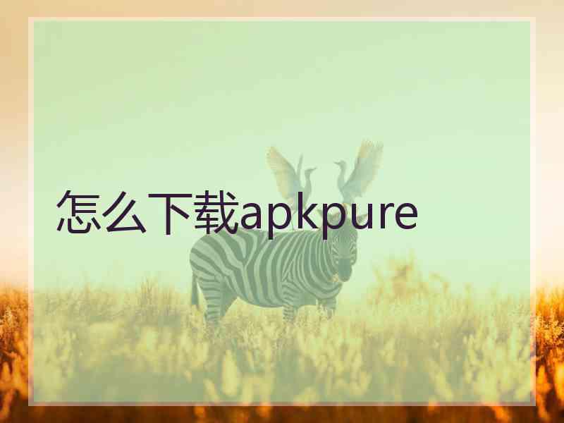 怎么下载apkpure