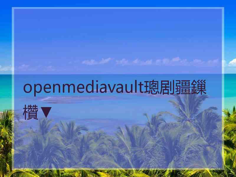 openmediavault璁剧疆鏁欑▼