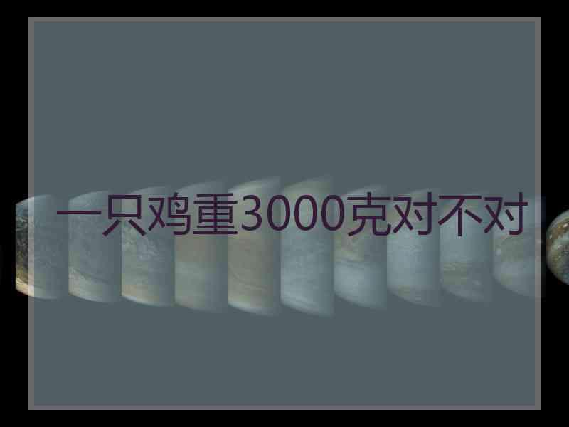 一只鸡重3000克对不对