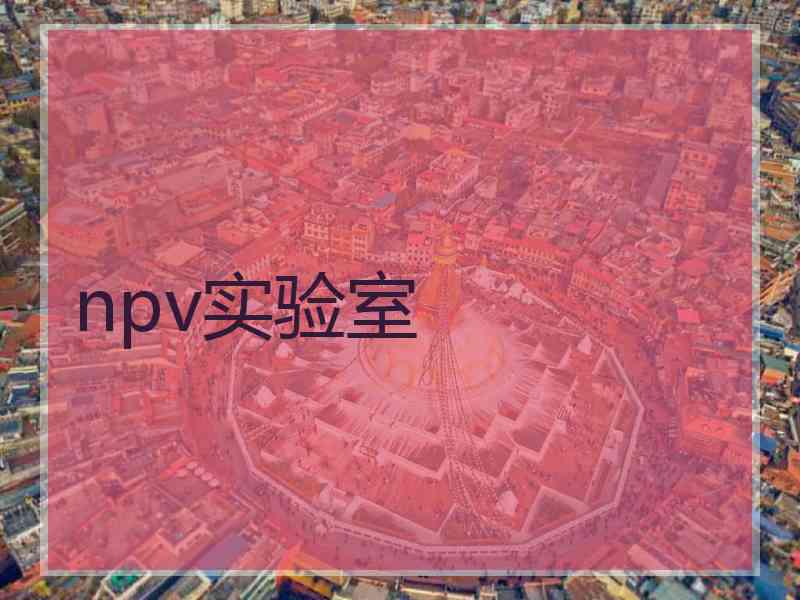 npv实验室