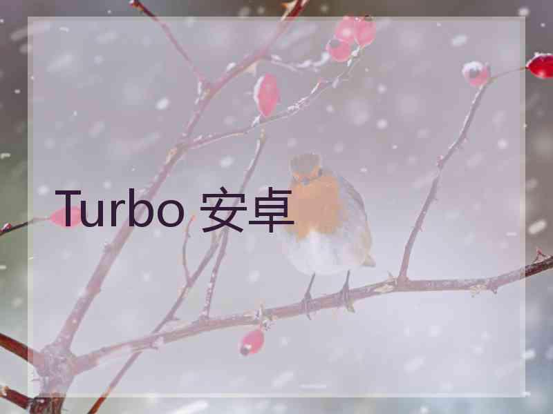 Turbo 安卓