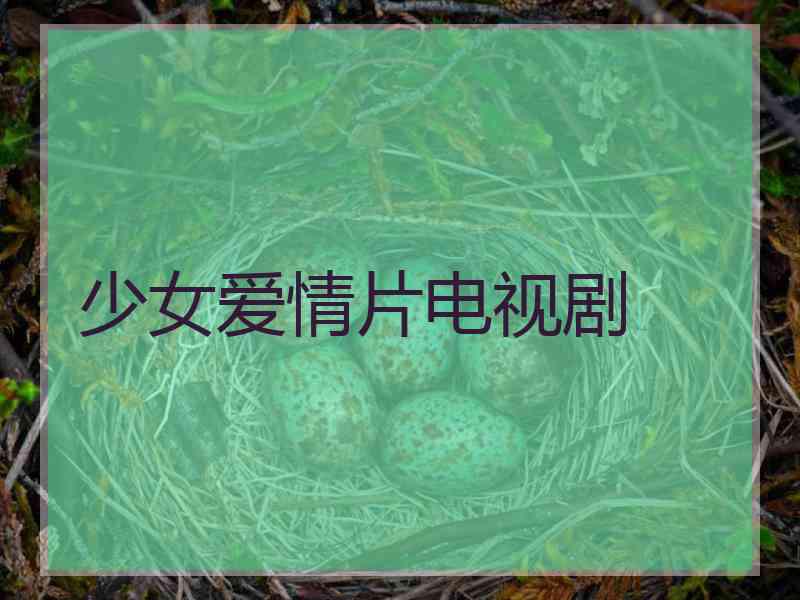 少女爱情片电视剧