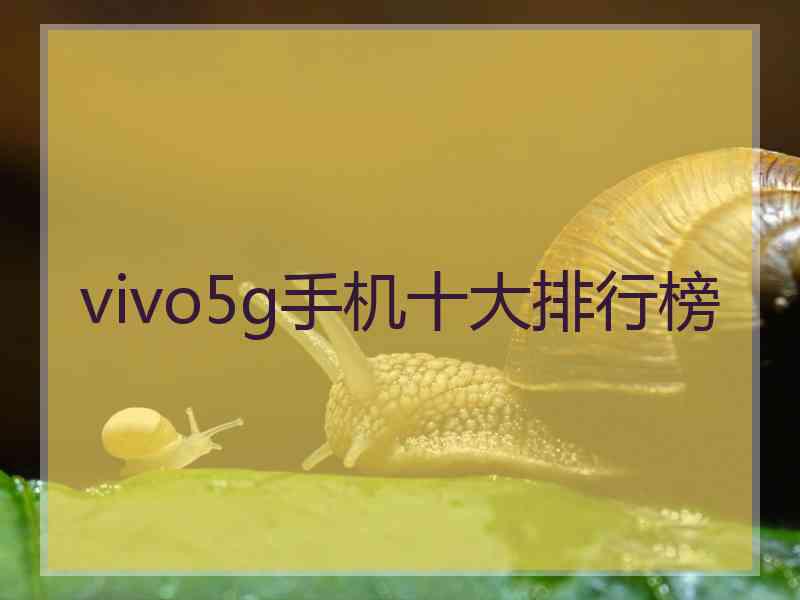 vivo5g手机十大排行榜